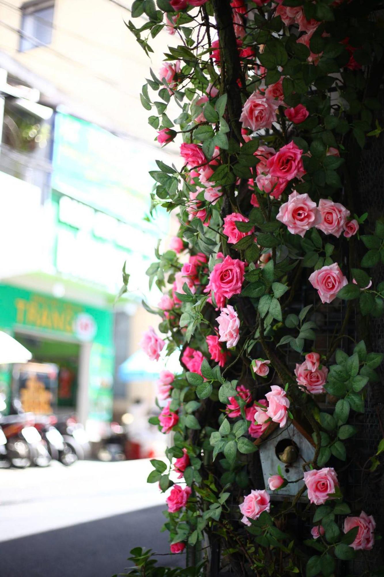 Ruby Rose House Hotel Đà Lạt Ngoại thất bức ảnh